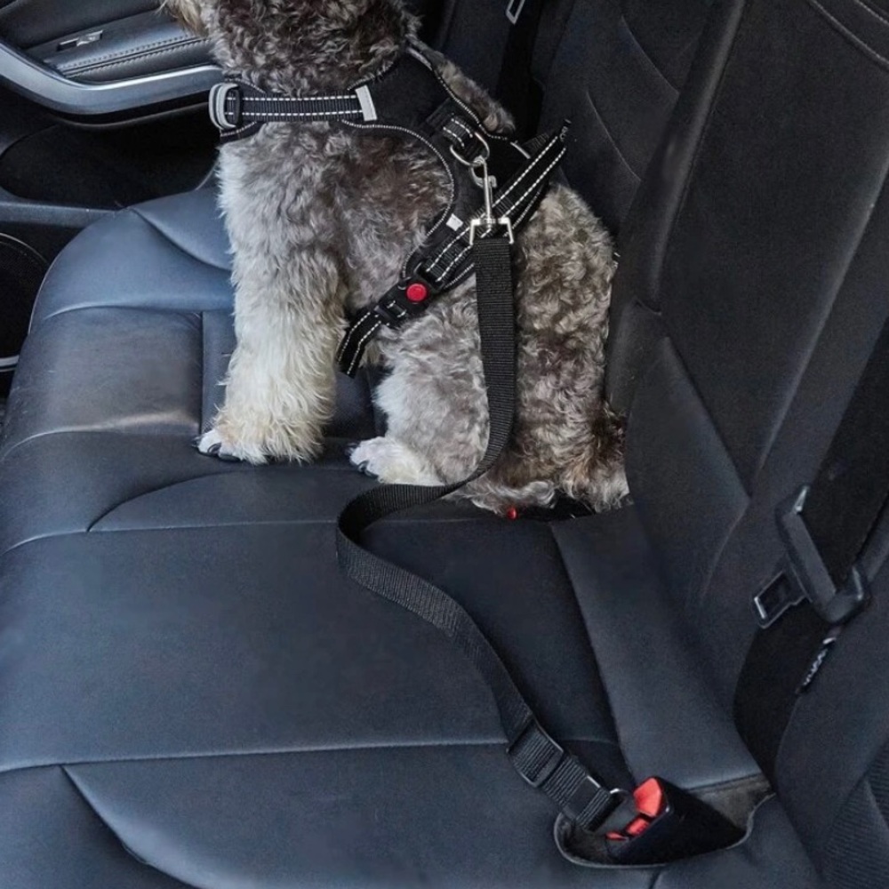 {NEW} Black Dog Safety Seat Belt One Size